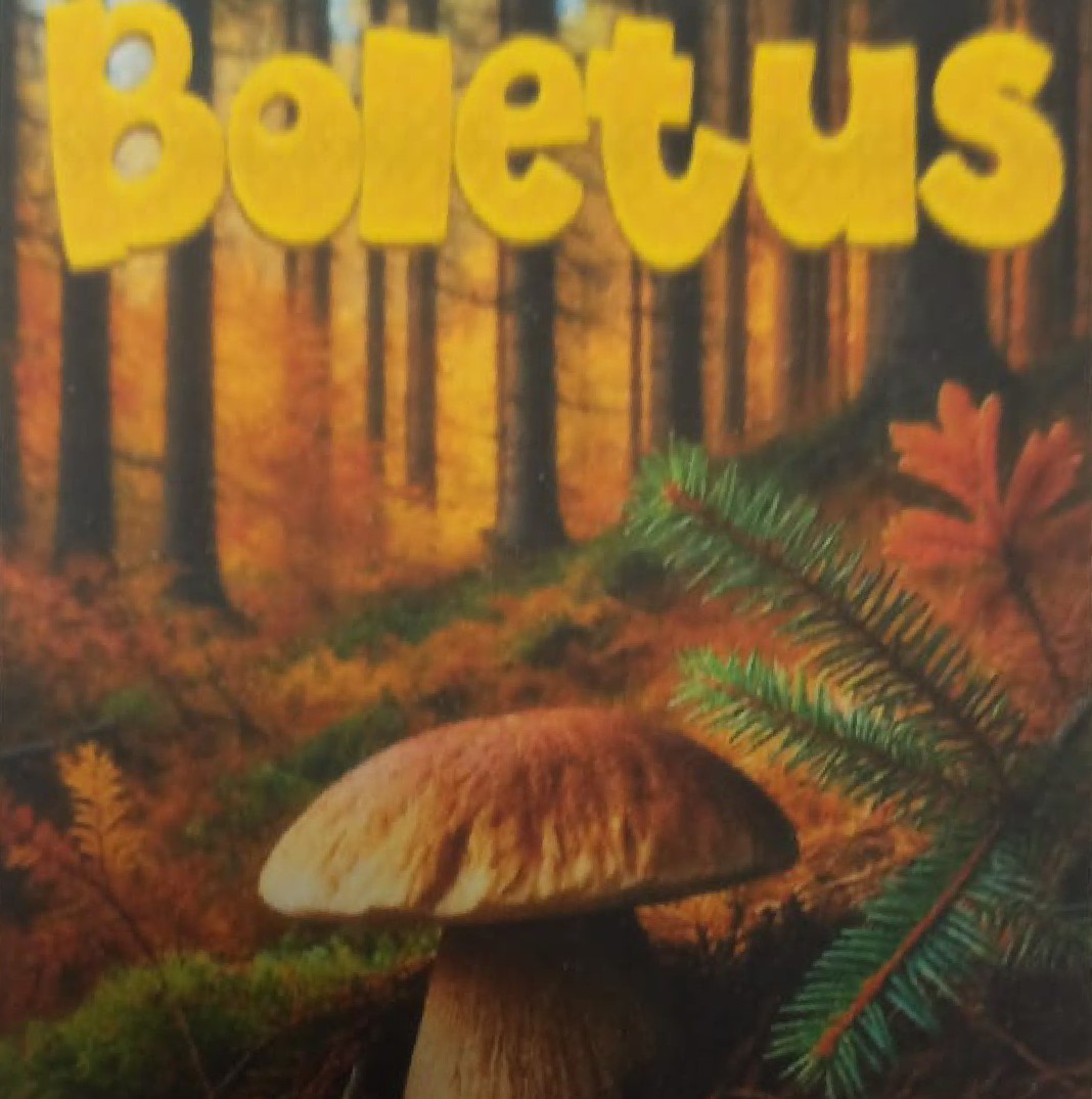 Boletus